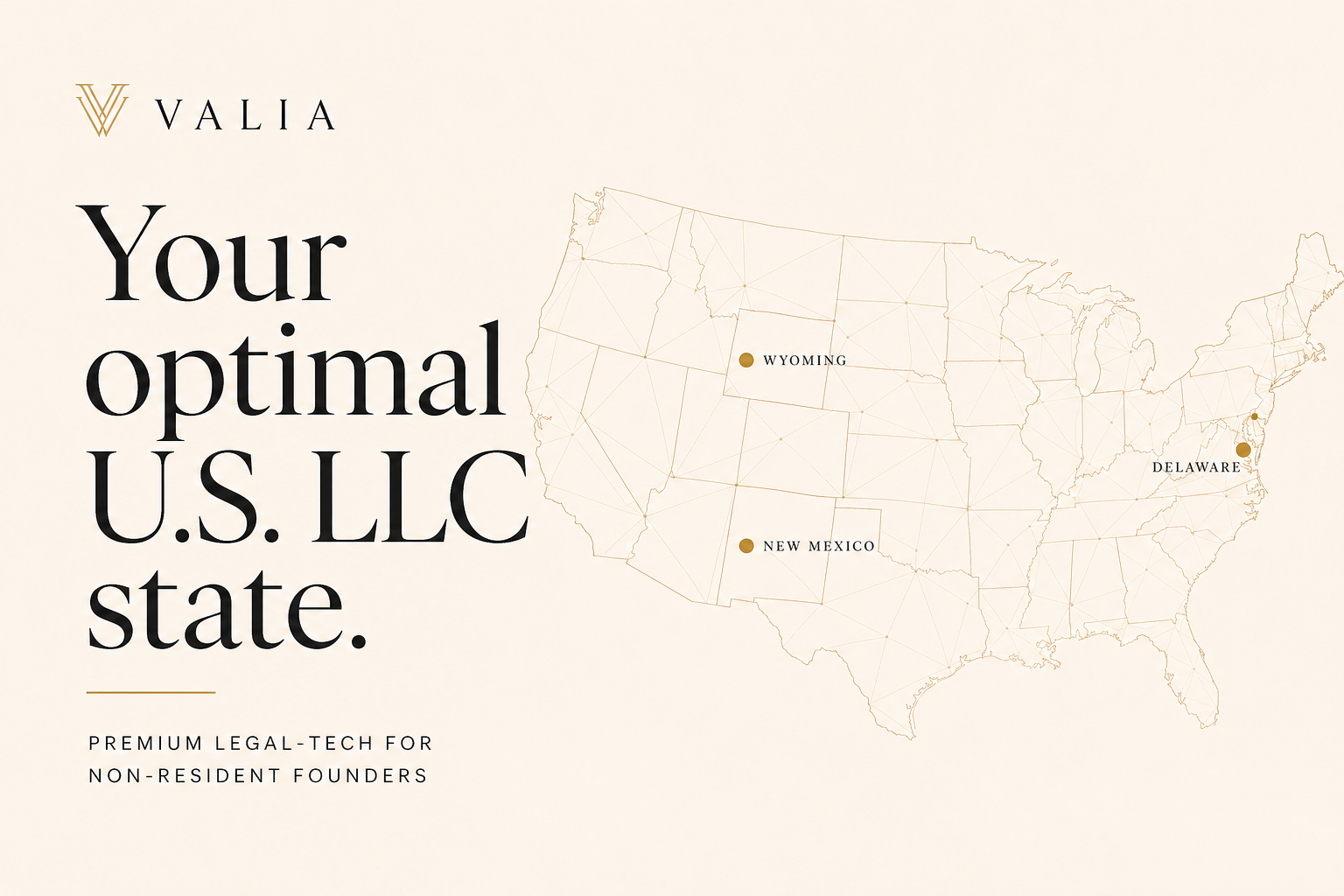 Valia — Optimal U.S. LLC state assessment for non-resident founders